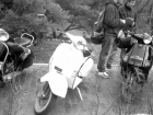 bild009