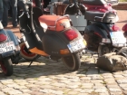 P1100918