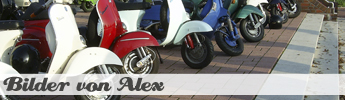 Bilder Alex